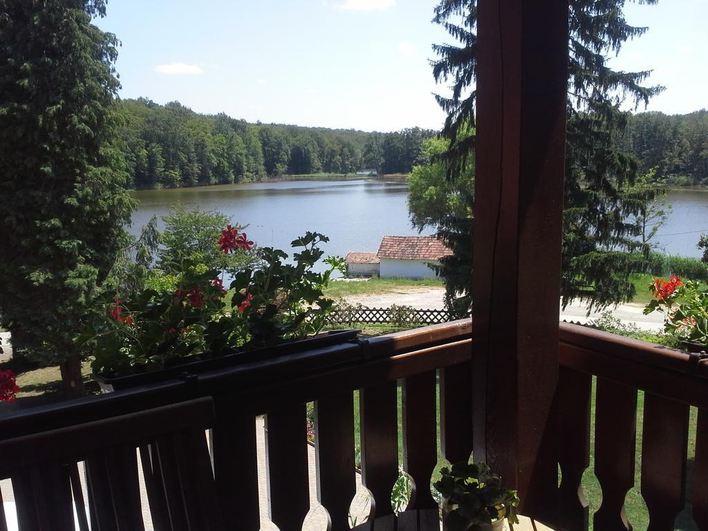 Ágneslaki Ökoturisztikai Centrum és Vadászház Nagykanizsa Chambre photo
